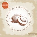 Hand Drawn Sketch Style Plums Group. Whole And Half With Seed. Organic Eco Fruit Vector Illustration.