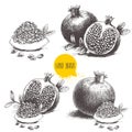 Hand drawn sketch style pomegranates set. Royalty Free Stock Photo