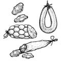 Hand drawn sketch style sausages set. Engraved meat food. Ham and salami slices. Butchery products collection. Tasty meal.