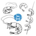Hand drawn sketch style seafood set. Shripms, prawns, grilled shrimps on bamboo stick