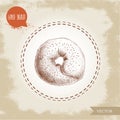 Hand drawn sketch style sesame bagel top view.