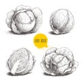 Hand drawn sketch style set of cabbages.