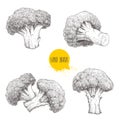 Hand drawn sketch style set illustrations of broccoli. Healthy ecological food vintage vector illustration.