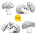 Hand drawn sketch style set illustrations of broccoli. Healthy food retro vector illustration.