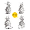 Hand drawn sketch style set illustrations of ripe pineapples. Royalty Free Stock Photo