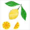 Hand drawn sketch style set of lemon fruit with leafs and sliced lemon in color Royalty Free Stock Photo