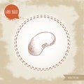 Hand drawn sketch style single white bean. Vector illustration of healthy diet food isolated on old looking background.