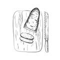 A hand-drawn sketch style sketch of a baguette, a loaf on a board with wire cutters and a knife