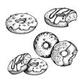 Hand drawn sketch style tasty donuts set. Sweet desserts collection.