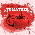 Hand drawn sketch style tomatoes Royalty Free Stock Photo