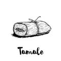 Hand drawn sketch style traditional mexican food tamale. Retro craft mexican cuisine vector illustration.