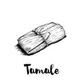 Hand drawn sketch style traditional mexican food tamale. Retro craft mexican cuisine vector illustration. Royalty Free Stock Photo