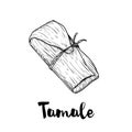 Hand drawn sketch style traditional mexican food tamale. Top view. Retro craft mexican cuisine vector illustration.