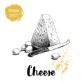 Hand drawn sketch style triangle piece of cheese. Cheese knife and grape. Vector organic food illustration poster.