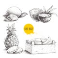 Hand drawn sketch style tropical fruits set isolated on white background. Bananas in wooden box, coconuts, pineapple with slices a Royalty Free Stock Photo