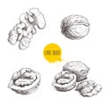 Hand drawn sketch style walnuts set. Single whole, half and walnut seed. Eco healthy food vector illustration. Isolated on white