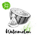 Hand drawn sketch style watermelon half and triangle cut composition. Vector illustration. Farm fresh fruit isolated on white back Royalty Free Stock Photo