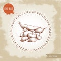 Hand drawn sketch style white beans batch and beans pod. Vector illustration of healthy diet food isolated on old looking backgrou