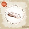 Hand drawn sketch style whole peanut pod. Isolated on old looking background. Organic food, cosmetic component.