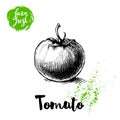 Hand drawn sketch style whole tomato. Eco food vector illustration poster.