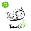 Hand drawn sketch style whole tomatos half and quarter segment sliced. Eco food vector illustration poster.