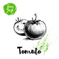 Hand drawn sketch style whole tomatos whole and half sliced. Eco food vector illustration poster.