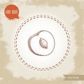 Hand drawn sketch style yellow plum mirabelle. Single fruit isolated on retro background.