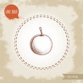 Hand drawn sketch style yellow plum mirabelle. Single whole fruit isolated on retro background.