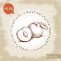 Hand drawn sketch style yellow plums mirabelle. Group of fruits with leaf and seed isolated on retro background.