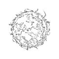 Hand drawn sketch of sun in black isolated on white background. Detailed vintage style drawing, for posters, decoration