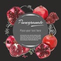 Pomegranate vector hand drawn healthy food illustration. Fruit design with sketch elements for banner, greeting card