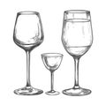 Hand-drawn Sketch of Elegant Wine Glasses and Shot Glass Set Royalty Free Stock Photo
