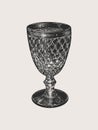 Hand-drawn sketch vintage glass wine goblet isolated on beige background. Vintage style. Vector illustration for posters