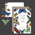 Hand drawn sketch wedding illustration butterfly. Vector card with butterflies