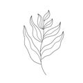 Hand drawn sketches leaf and branches in an elegant style. Vector illustration, isolated black elements on a white
