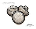 Hand Drawn Sketchy Champignons