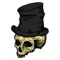 Hand drawn skull of a dead man in a black crumpled top hat, on a white background. Vector illustration Royalty Free Stock Photo