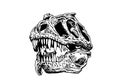 Graphical skull of tyrannosaurus isolated on white, vector illustration for tattoo ,typography and design