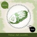 Hand drawn sliced fresh cucumber. Royalty Free Stock Photo