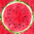 Hand-drawn sliced watermelon