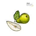 Hand drawn sliced and whole pear. Vector coloredengraved illustration. Juicy natural fruit. Food healthy ingredient. For