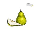 Hand drawn sliced and whole pear. Vector coloredengraved illustration. Juicy natural fruit. Food healthy ingredient. For