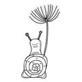 A hand drawn snail with a dandelion. Vector illustration