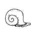 Hand drawn snail doodle icon. Hand drawn black sketch. Sign symbol. Decoration element. White background. Isolated. Flat design. Royalty Free Stock Photo