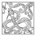 Hand drawn Snake, coloring page , Animalistic illustration . Vector monochrome lineart Royalty Free Stock Photo