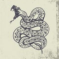 Hand drawn snake illustration on grunge background.