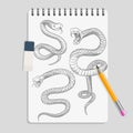 Hand drawn snakes on realisic notebook page with pencil and eraser