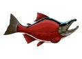 Hand Drawn of Sockeye Salmon Fish Illustration Royalty Free Stock Photo