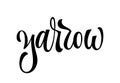 Hand drawn spice label - Yarrow. Vector lettering design element.