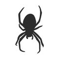 Hand Drawn Spider Illustration - Vector Design Element For Halloween And Other Compositions. spider vector sketch illustration Royalty Free Stock Photo